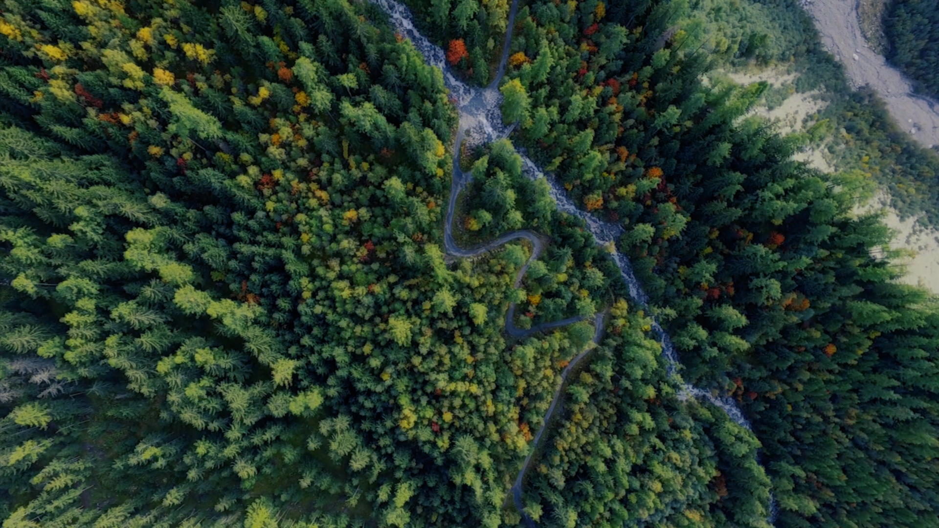 foret chamonix drone